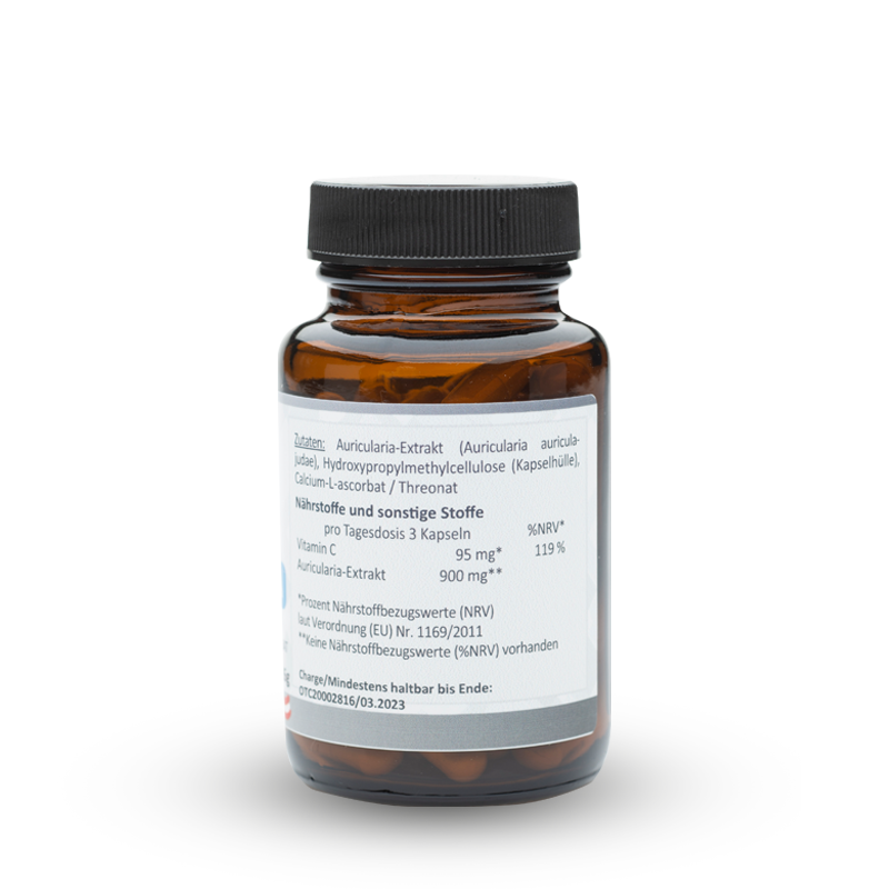 Auricularia – Bild 3