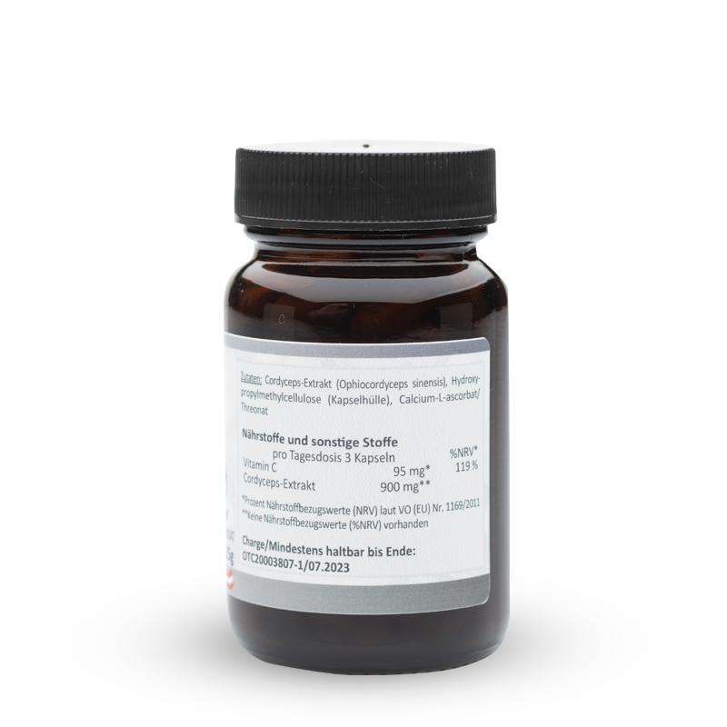 Cordyceps – Bild 3