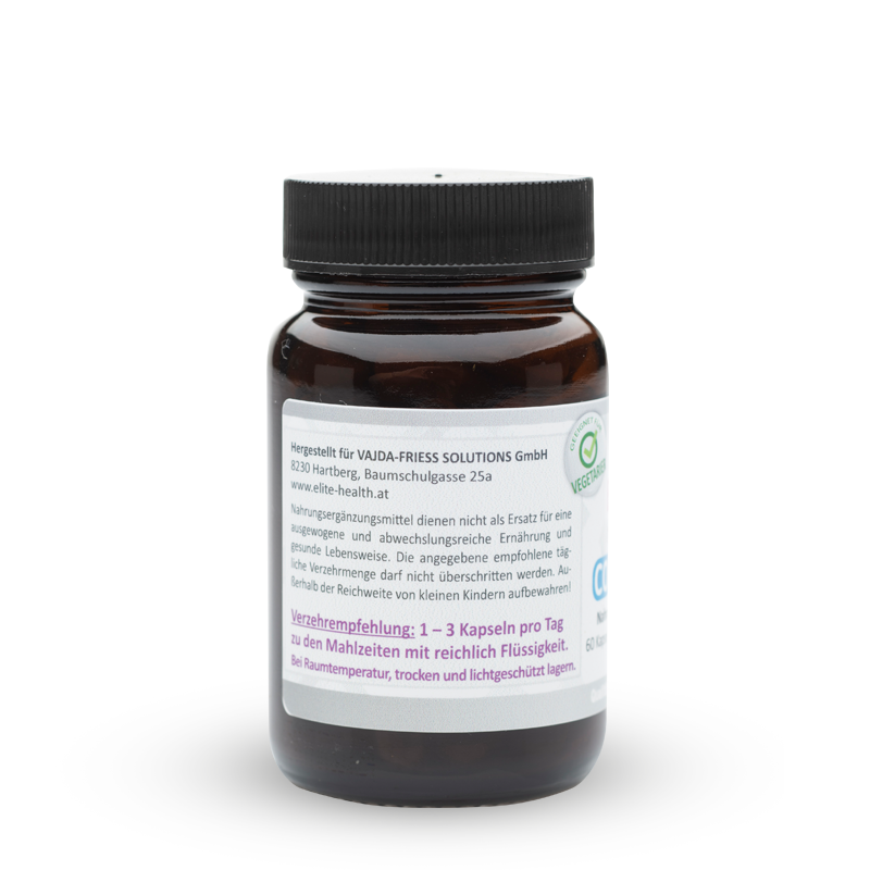 Cordyceps – Bild 2